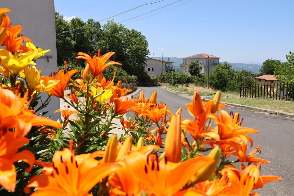 Al Giardino b&b Bed and Breakfast in Calabria