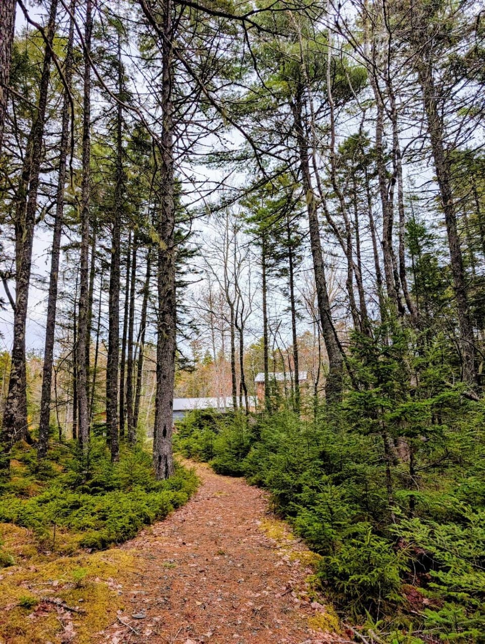 Lake front cottage 5 bedrooms bright open concept House in Nova Scotia