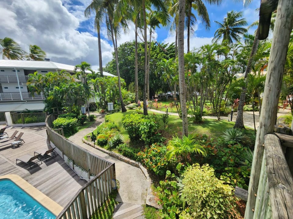 Natural landscape, Garden, Garden view, Pool view, Swimming pool, sunbed