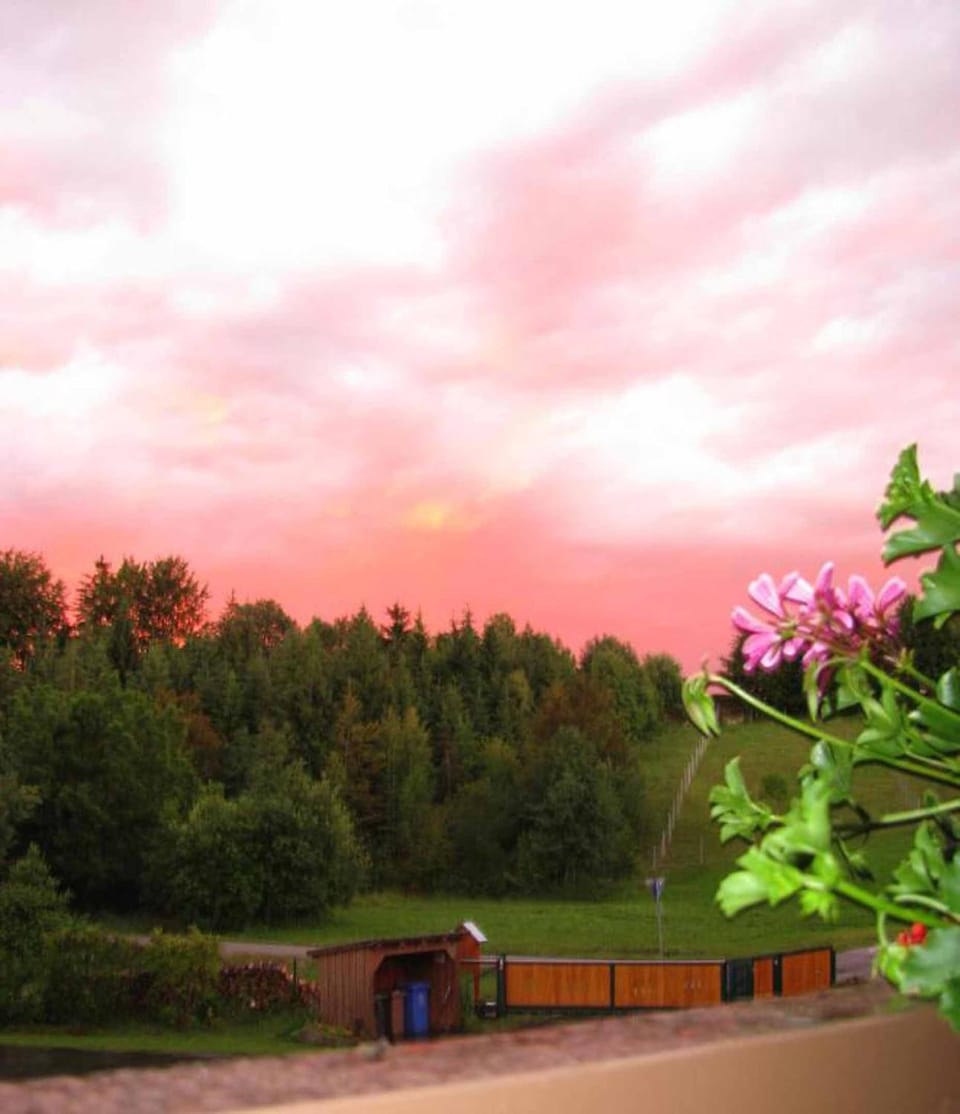 Natural landscape, Sunset