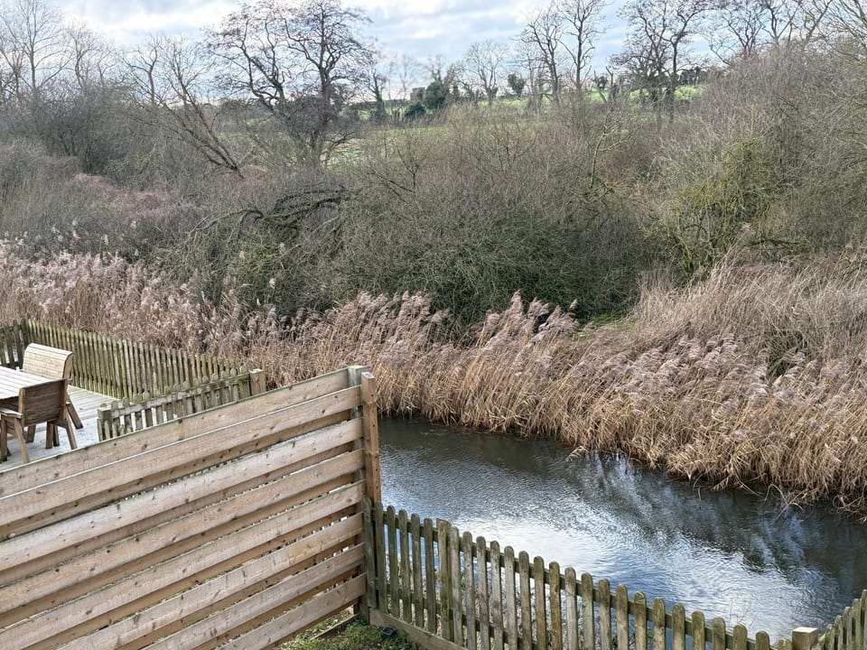 Spring, Natural landscape, River view