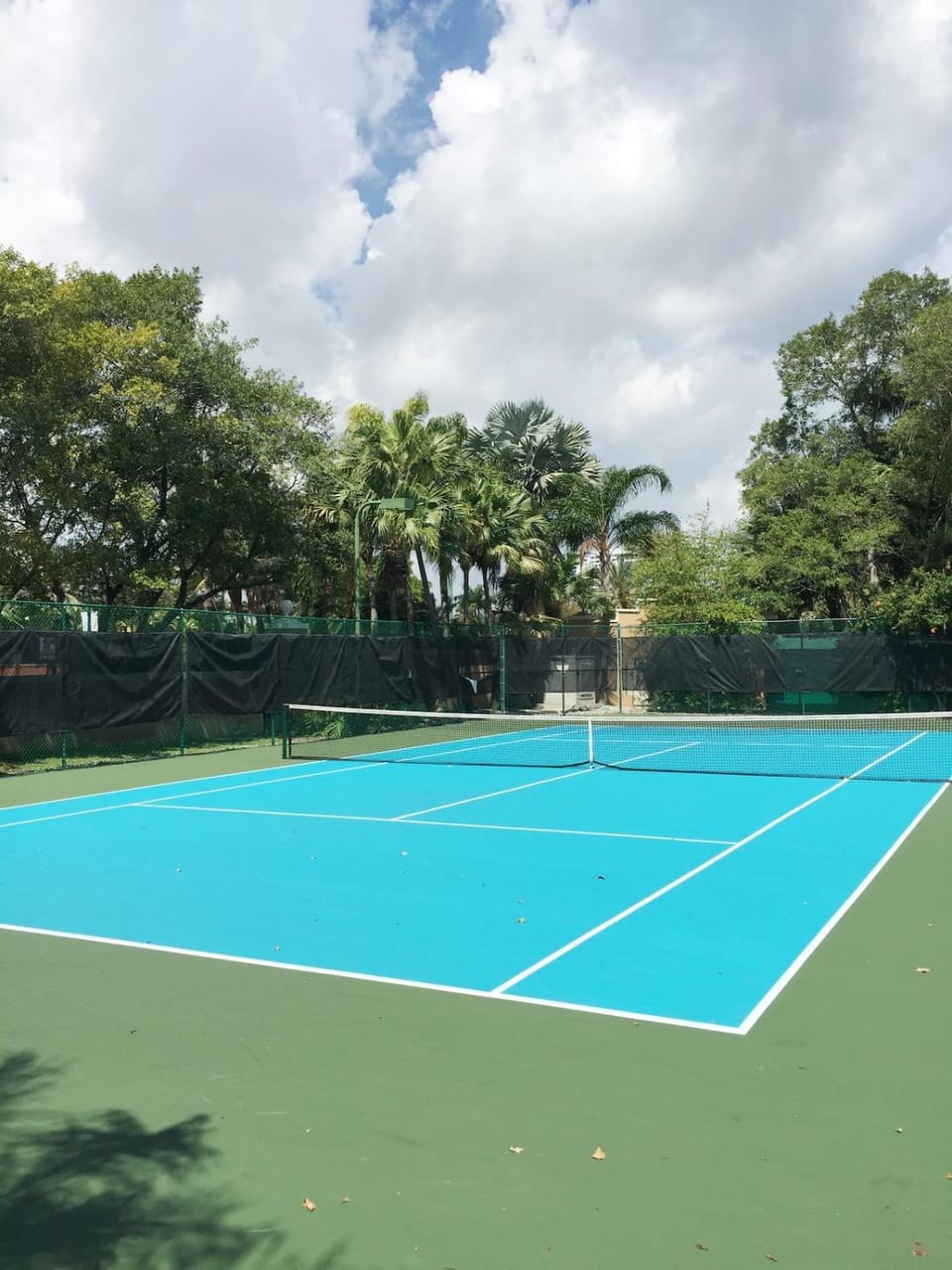 Tennis court
