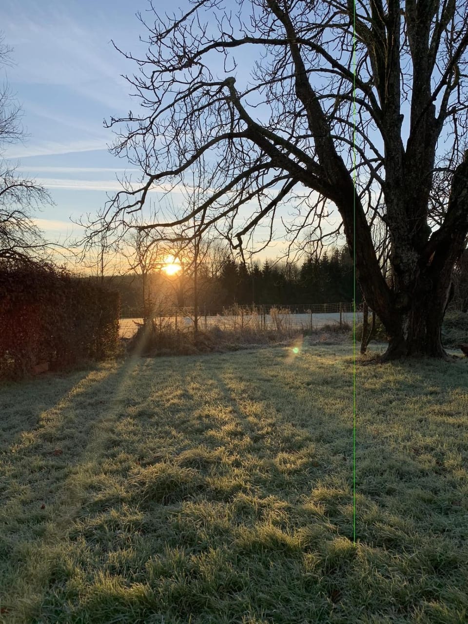 Garden, Sunrise