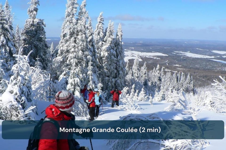 Chalet Gothic with Ski in and out in Parc Appalaches for 16 Guests Chalet in Maine
