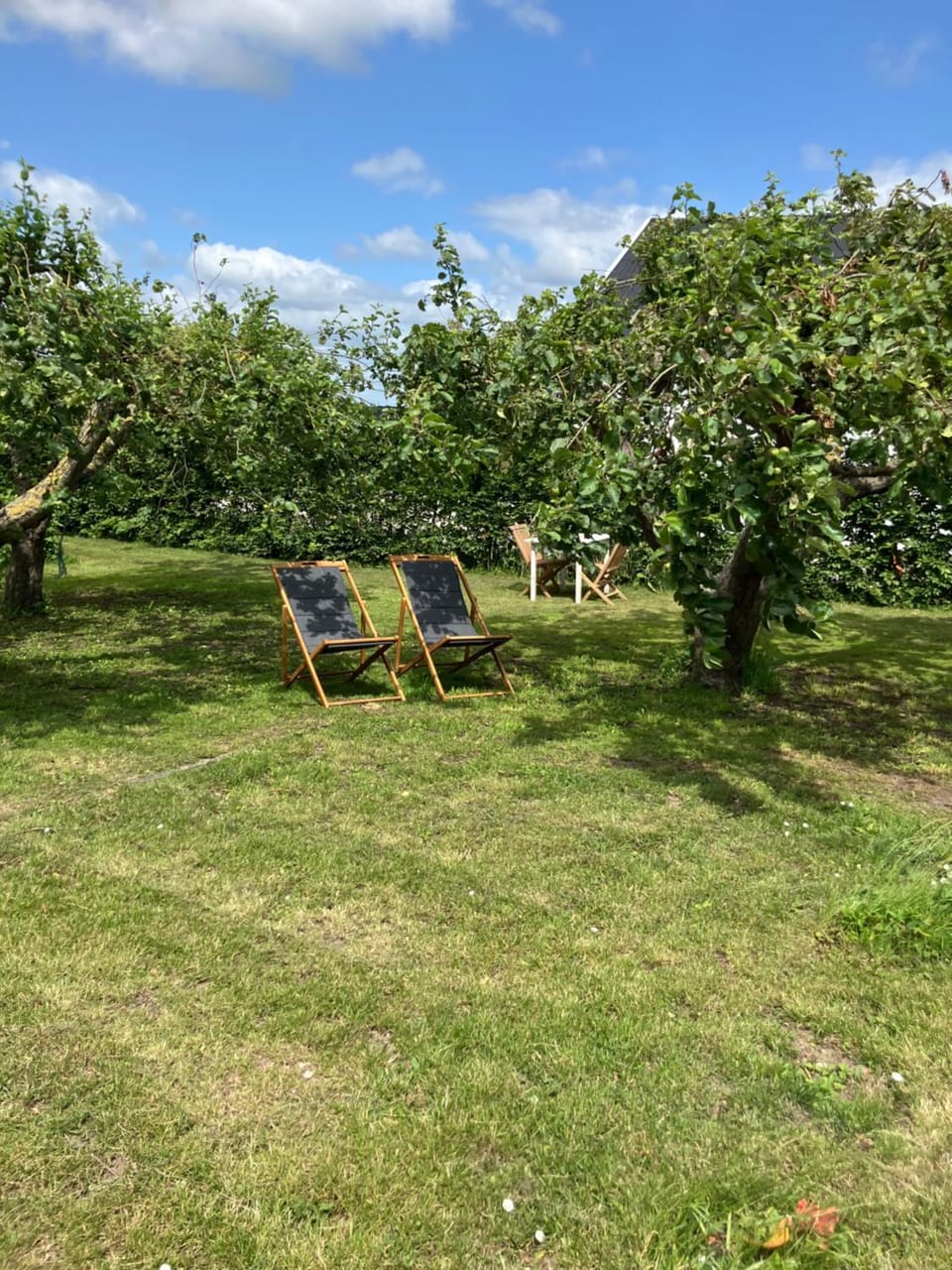 Marielyst B&B - Apartments Bed and Breakfast in Næstved