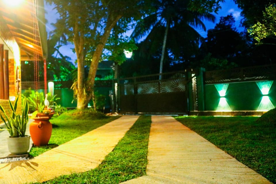 Night, Garden, Garden view
