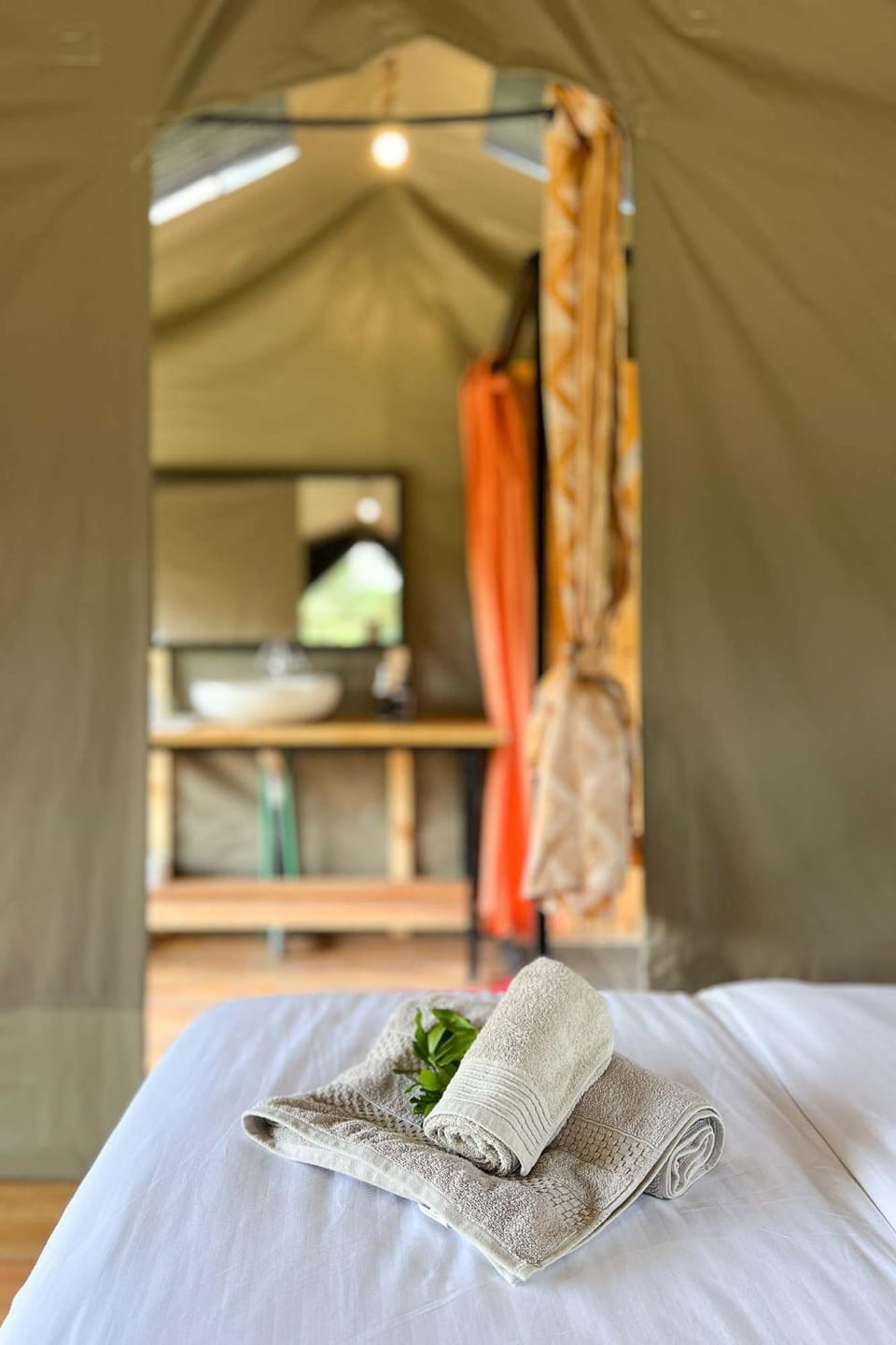 Bed