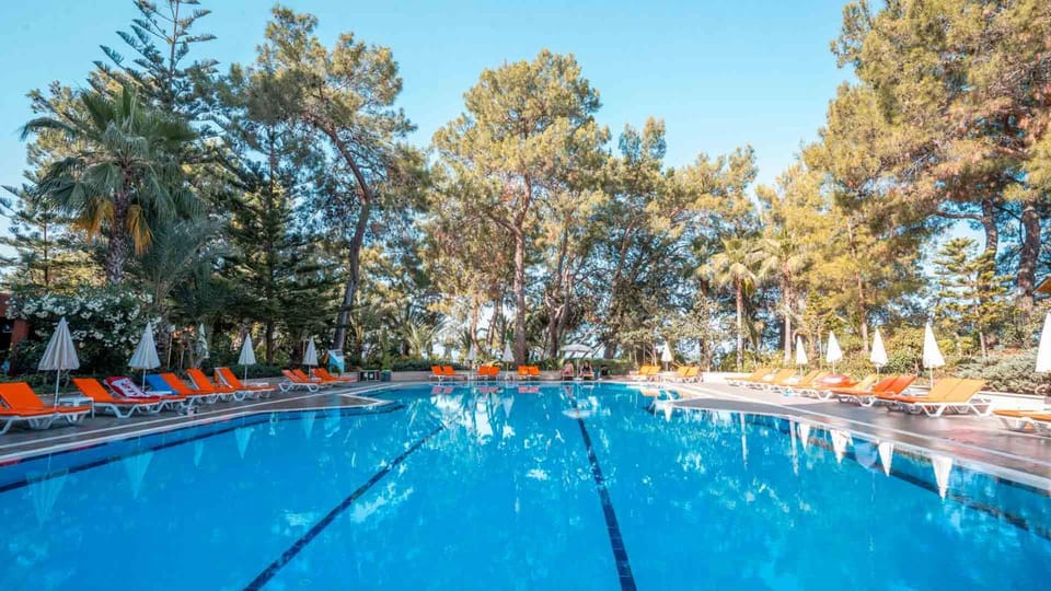 Pool view, Swimming pool