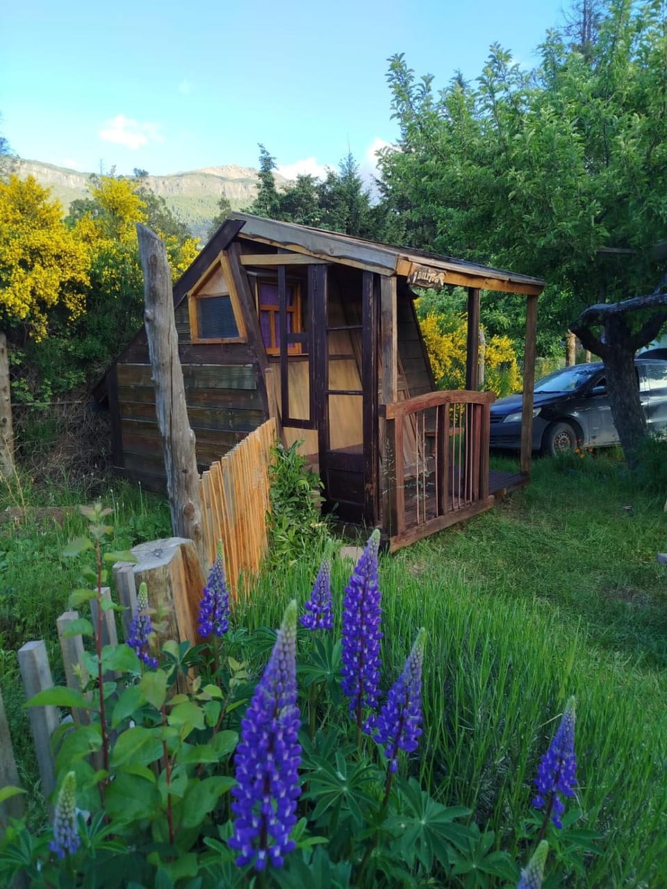 Property building, Garden, Bedroom