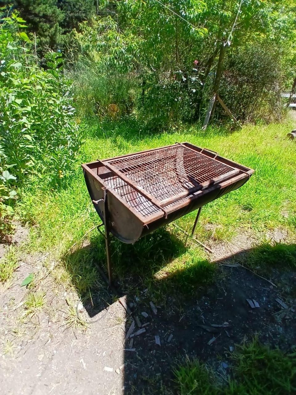 Spring, Day, Garden, Garden view