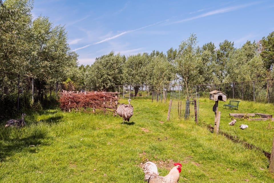 farmhouse House in Zaandam