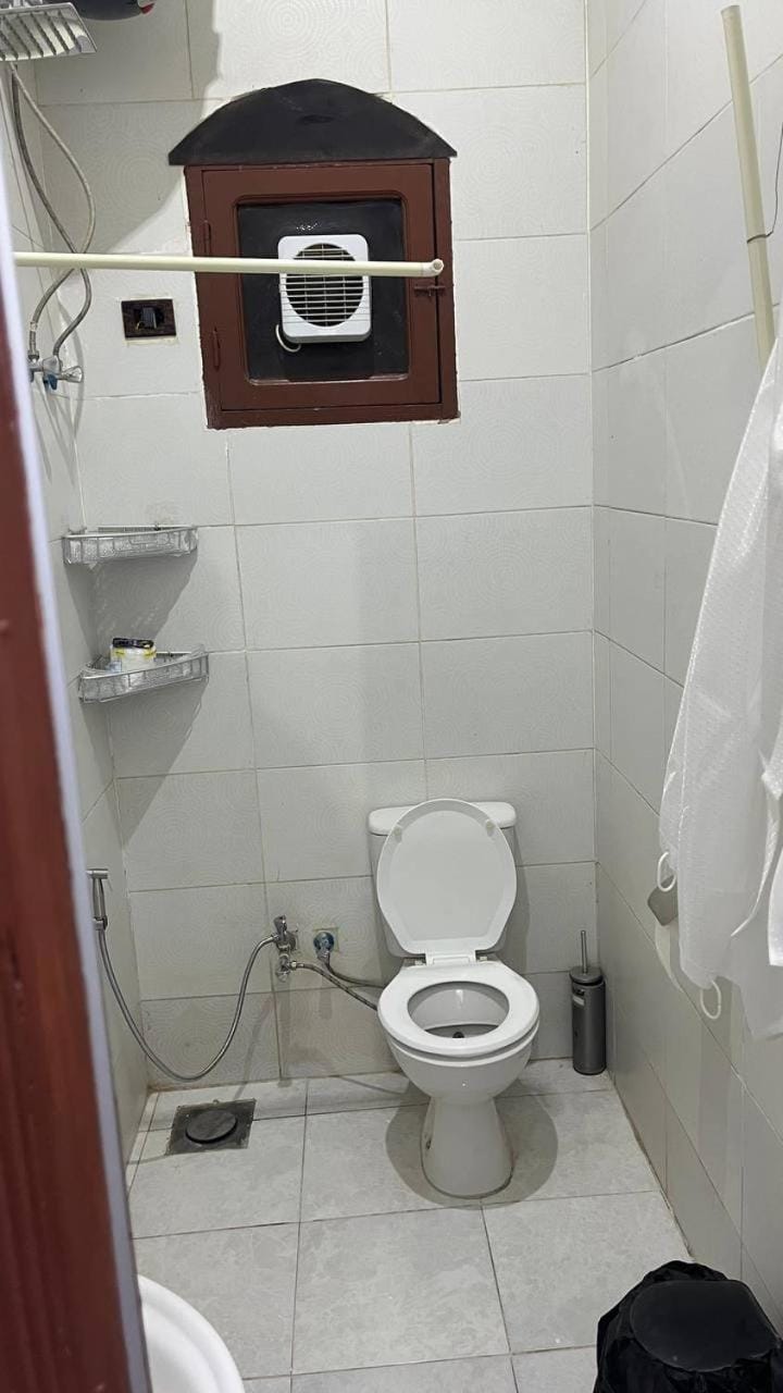 Shower, Toilet, Bathroom, bidet