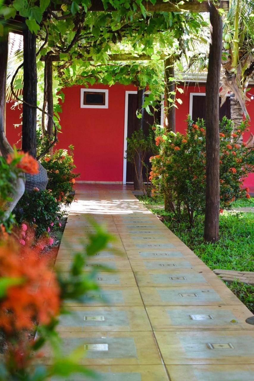 Property building, Garden, Garden view
