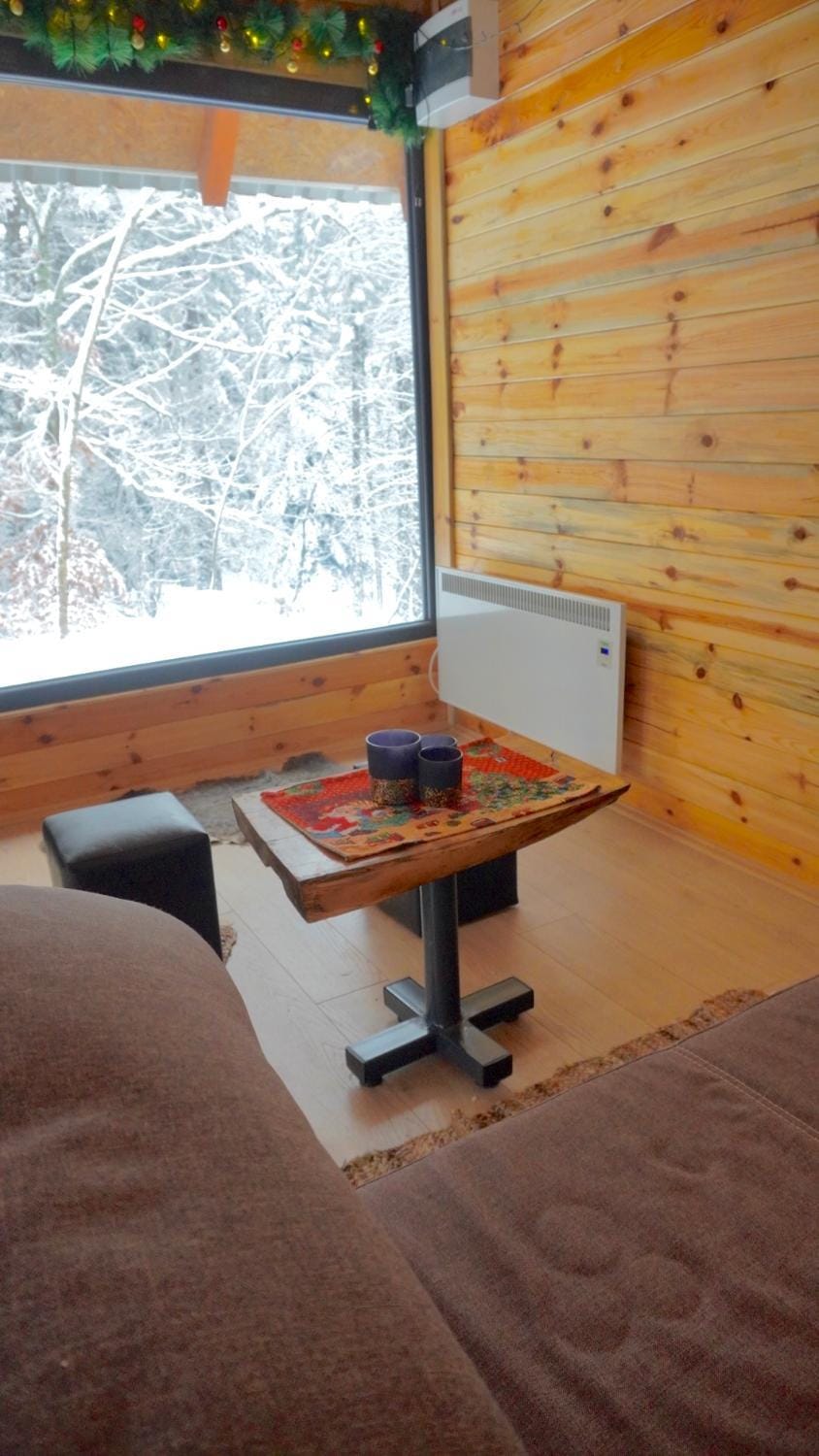 Star Cottage House in Zlatibor District, Serbia
