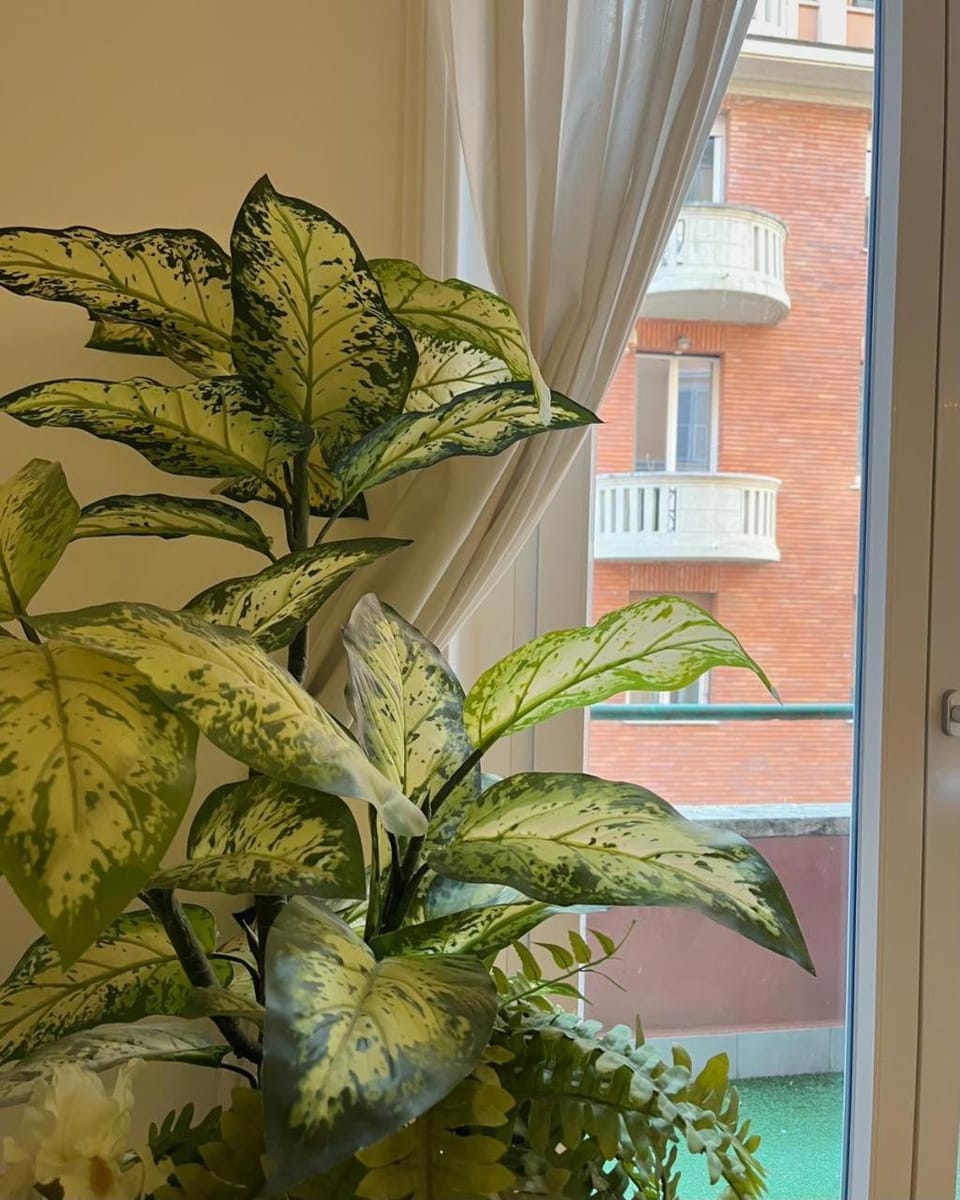Il Plancton Colosseo Vacation rental in Rome