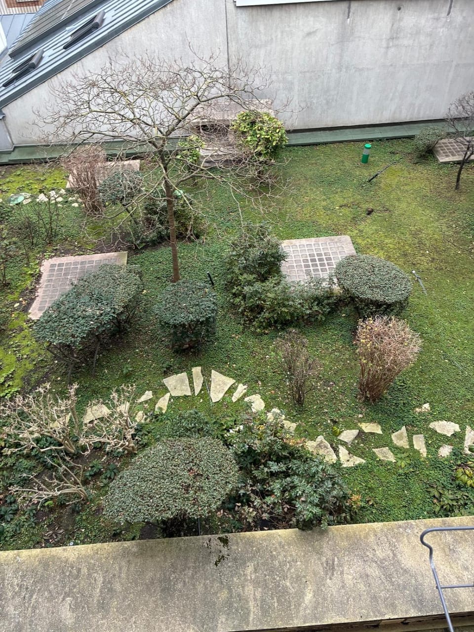 Garden view