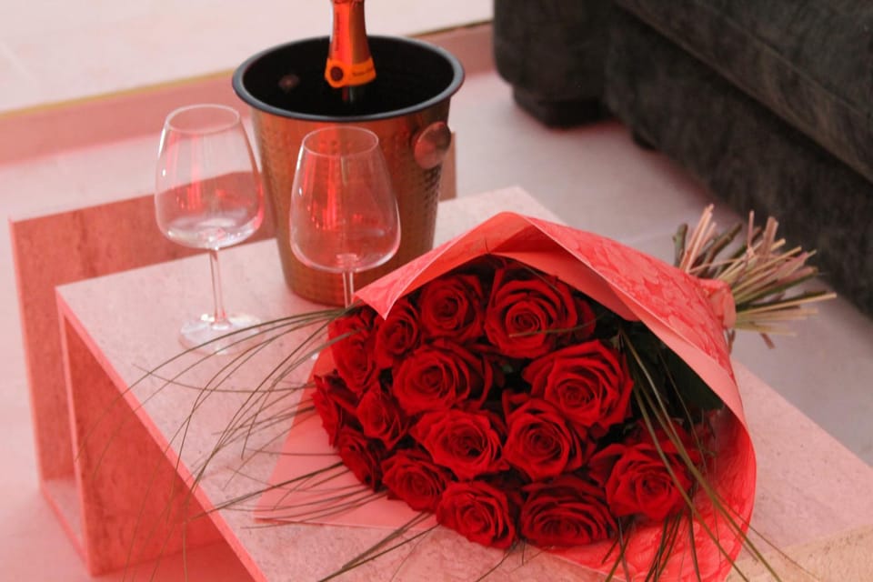L alcove des Sens Love Room Jacuzzi sauna House in Tours