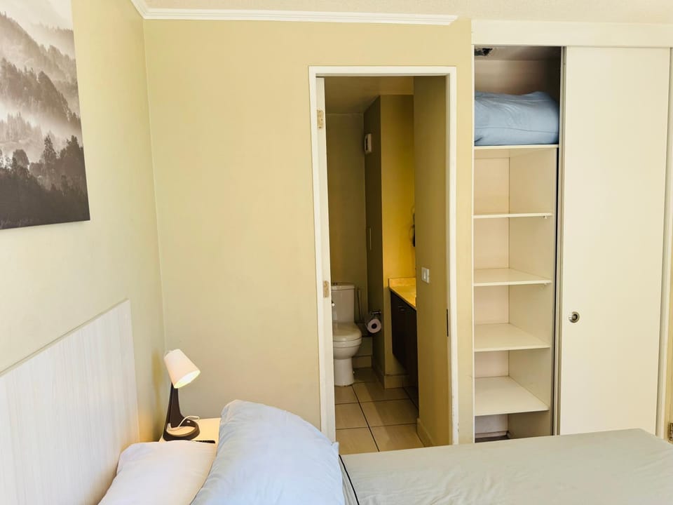 Santiago Central Home 1D1B Apartment in Santiago