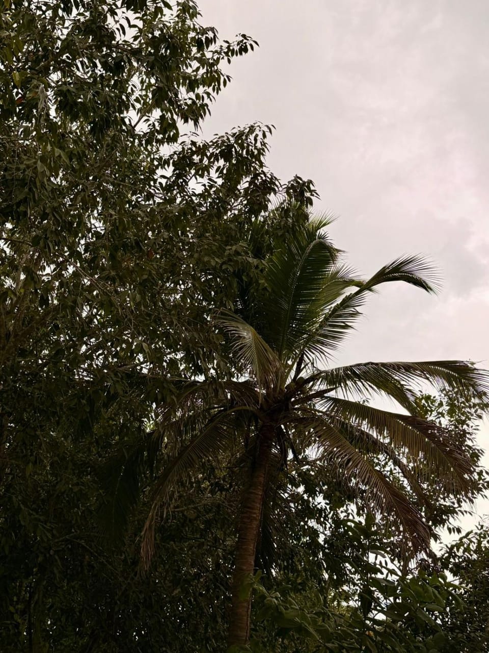 Natural landscape