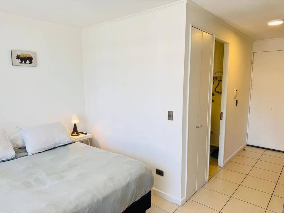 Santiago Central Studio Apartment in Santiago