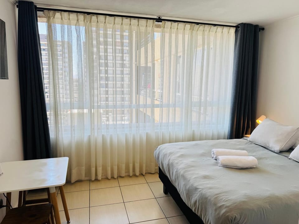 Santiago Central Studio Apartment in Santiago