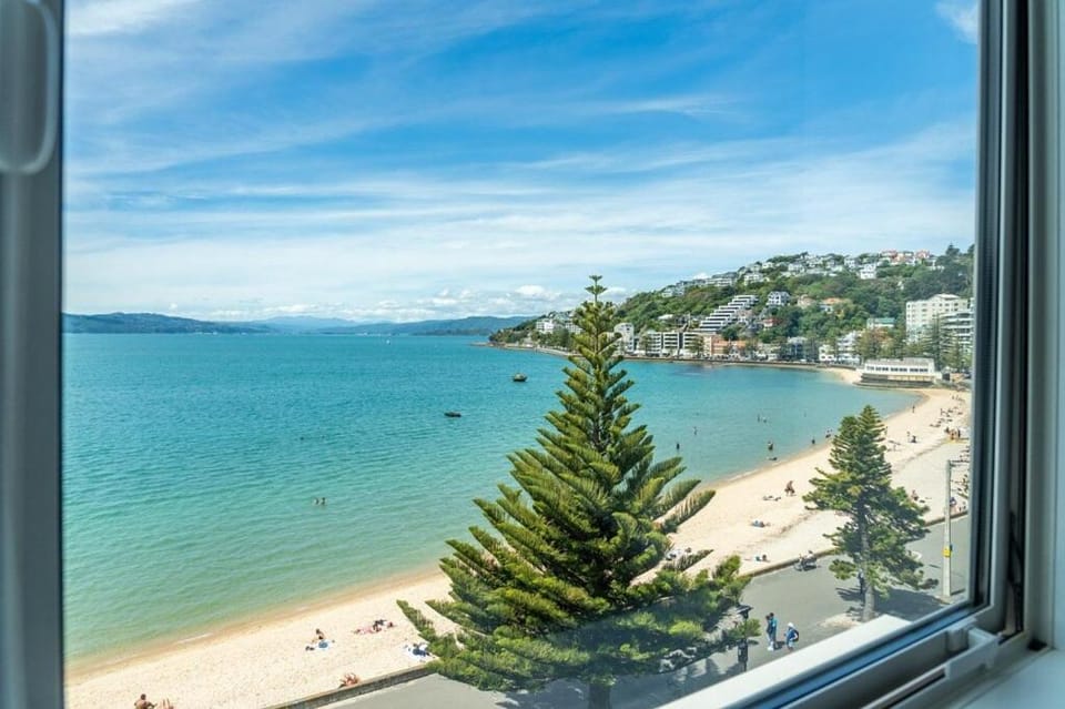 Luxury Beachfront Apartment - Private Upper Suite Apartment in Wellington