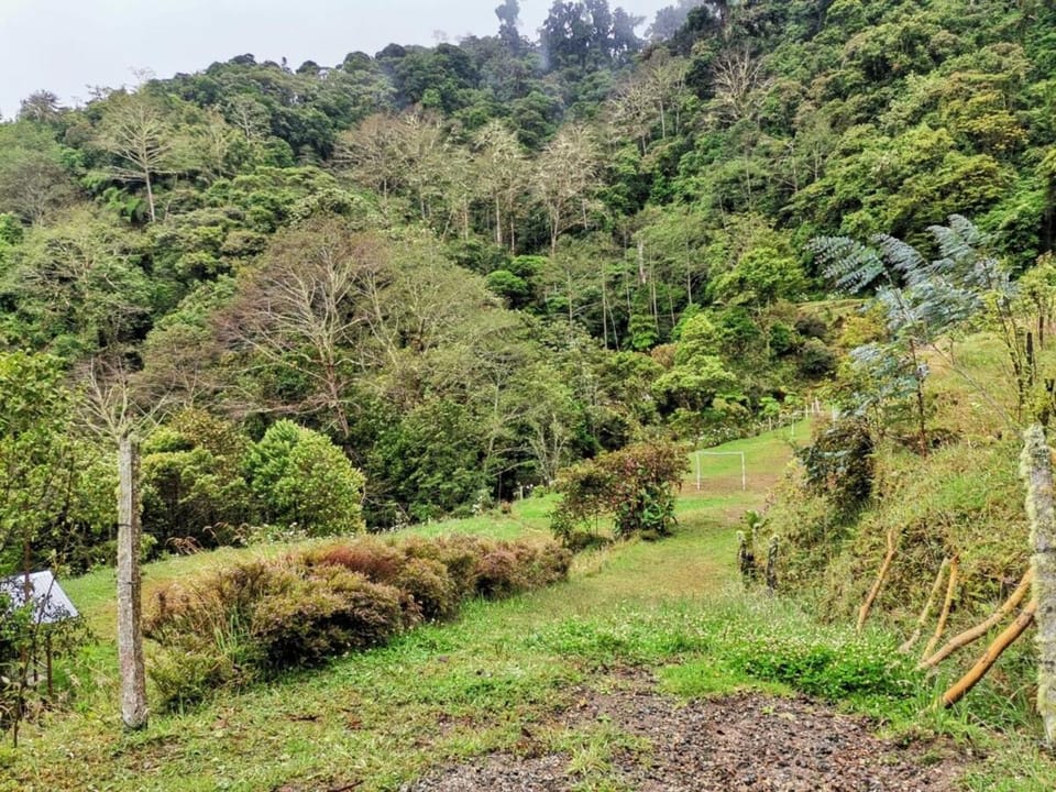 Millar de Aves Apartment in Cartago Province, Costa Rica