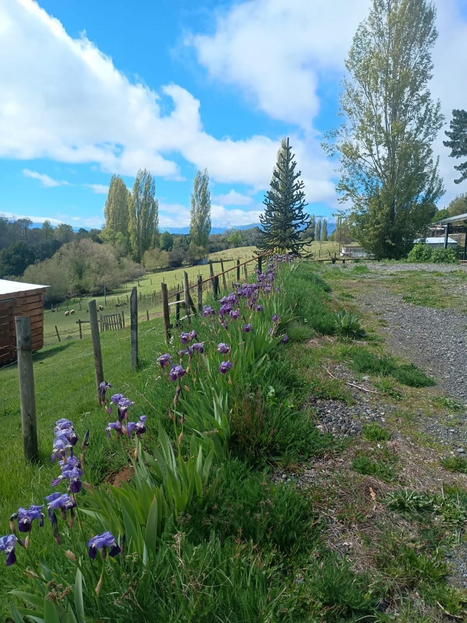 Del valle cabañas House in Araucania, Chile