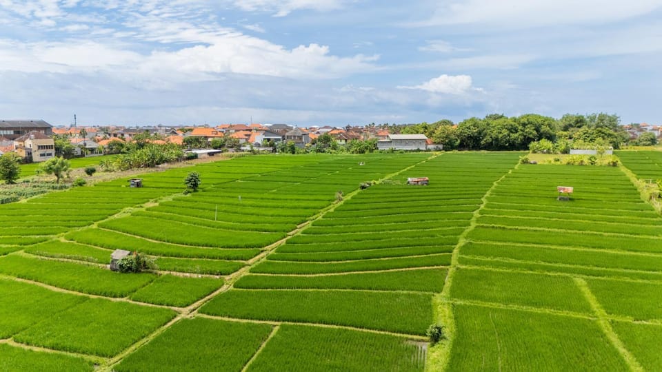 Casa Alden - 3BR Infinity Pool with Ricefield View Villa in North Kuta