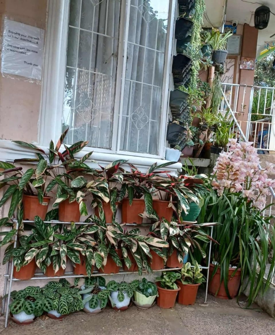 Ecarg Alum Baguio City Transient House Apartment in Baguio