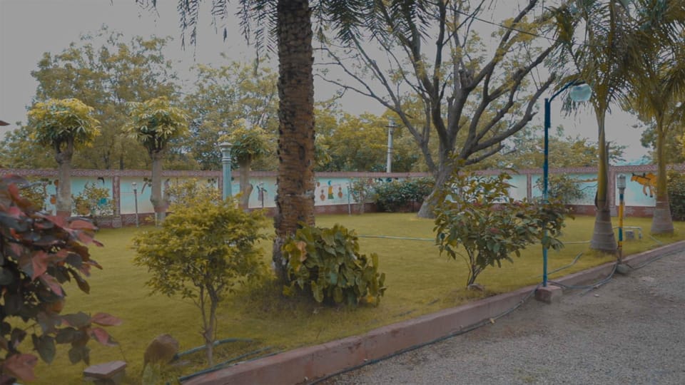 Garden