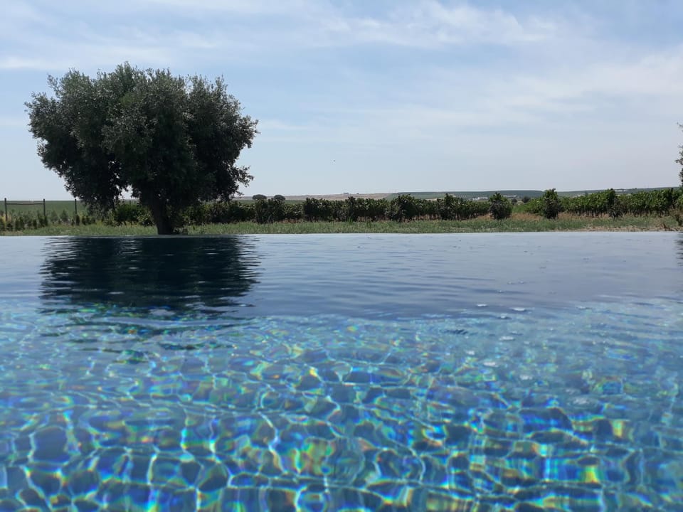Natural landscape, Swimming pool