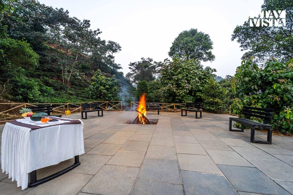 fireplace