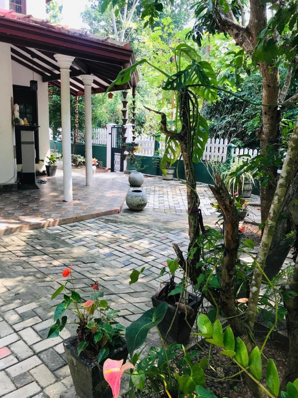 Garden, Garden, Garden view