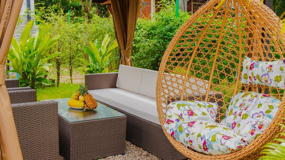 Patio, Day, Garden