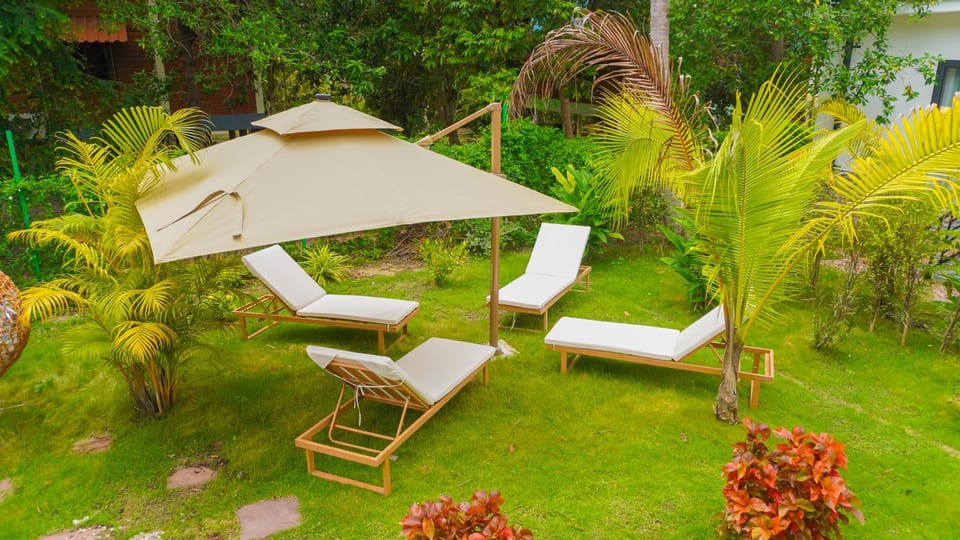 Patio, Day, Natural landscape, Garden, Garden view, Pool view, Swimming pool, sunbed
