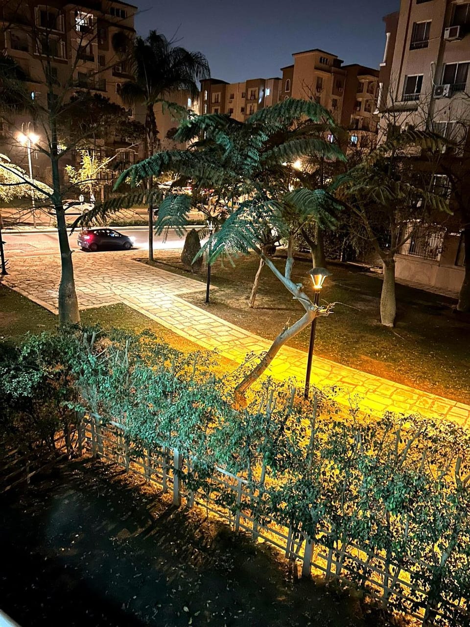 Garden view