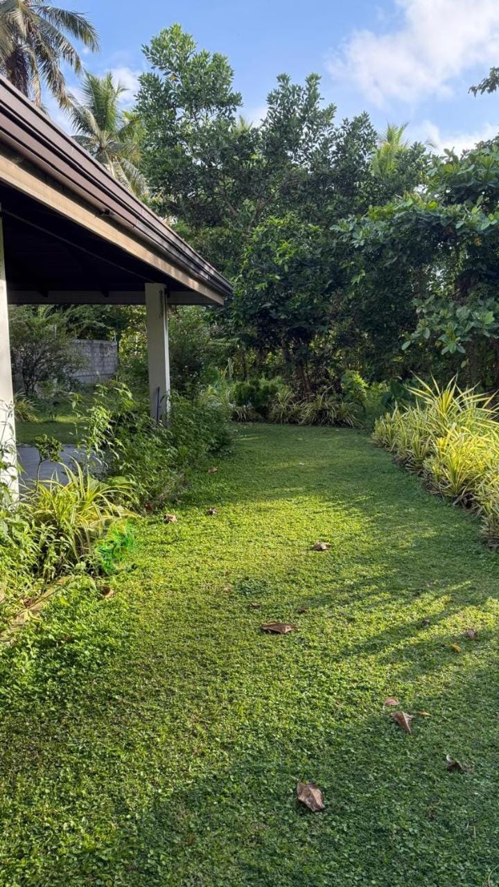 Garden, Garden view