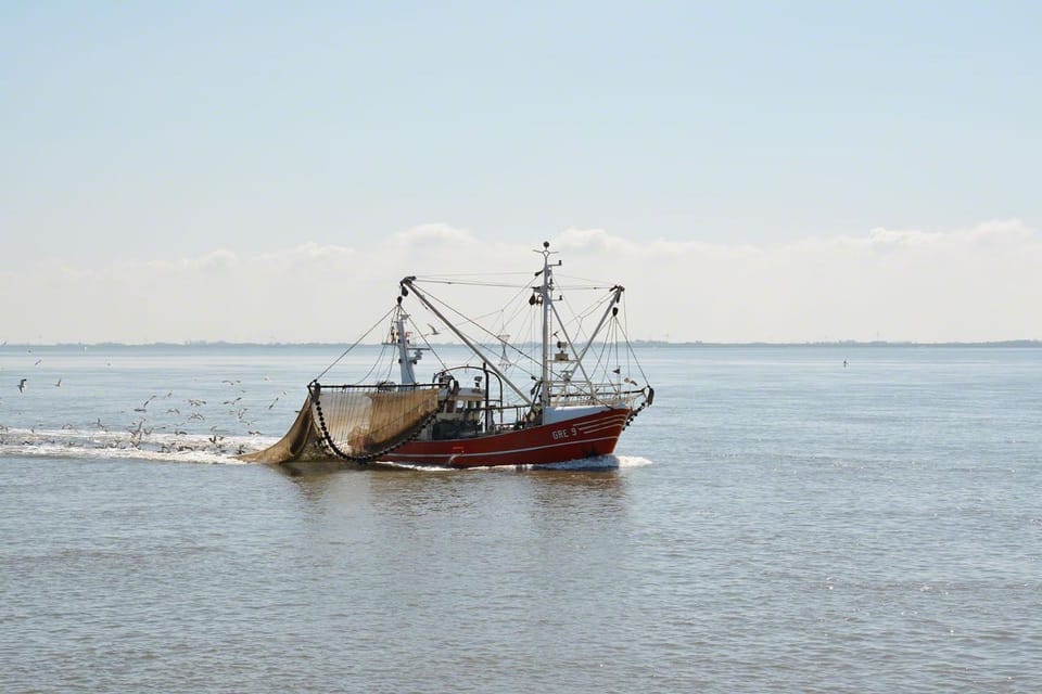 Skipper Greetsiel Apartment in Norden