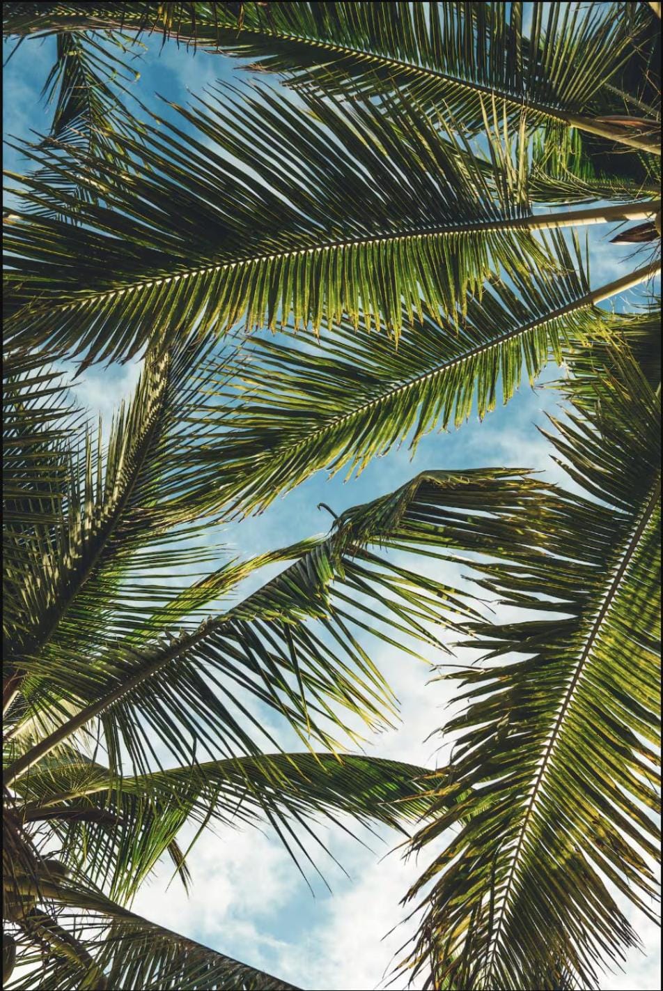 Day, Natural landscape