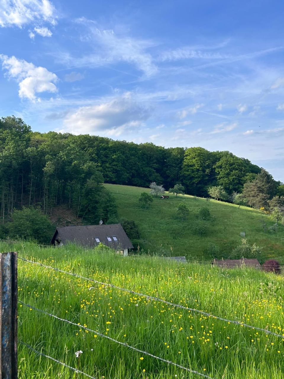 Natural landscape