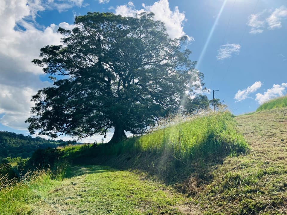 Natural landscape