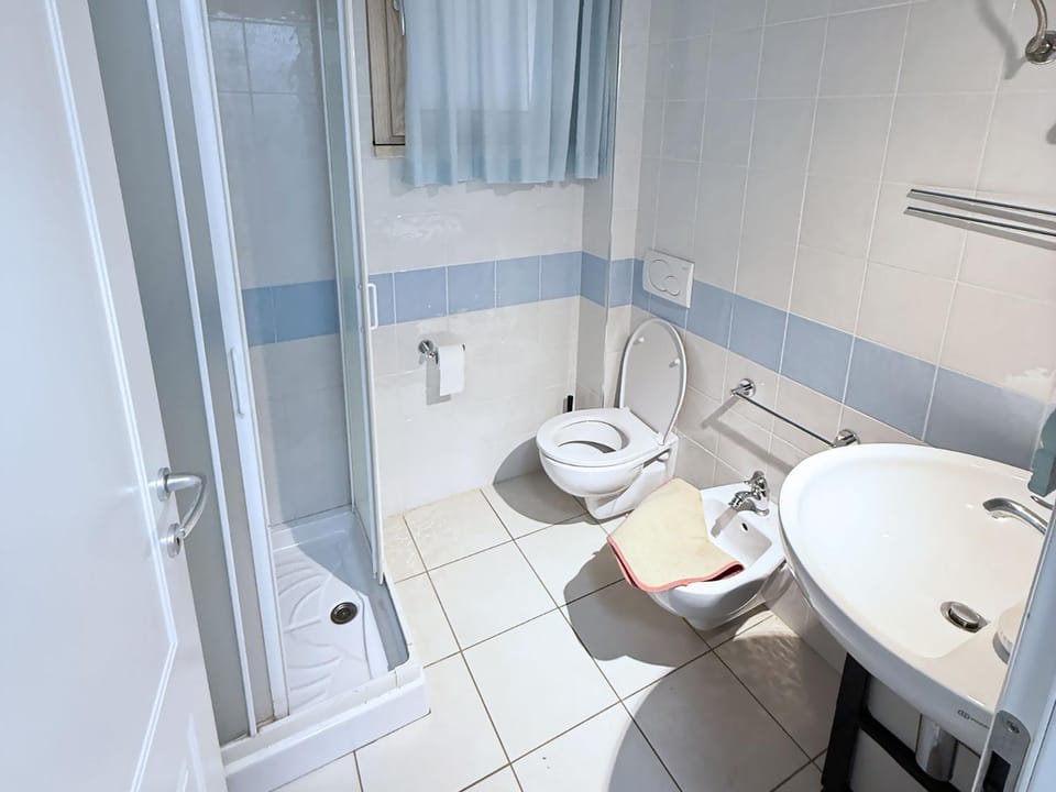 Shower, Toilet, Bathroom, bidet