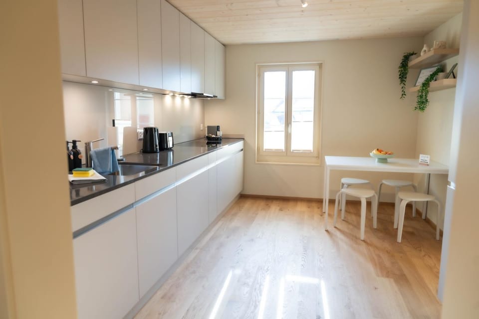 Pilatus Bijou I Lucerne & Interlaken I Cozy Charm Apartment in Nidwalden