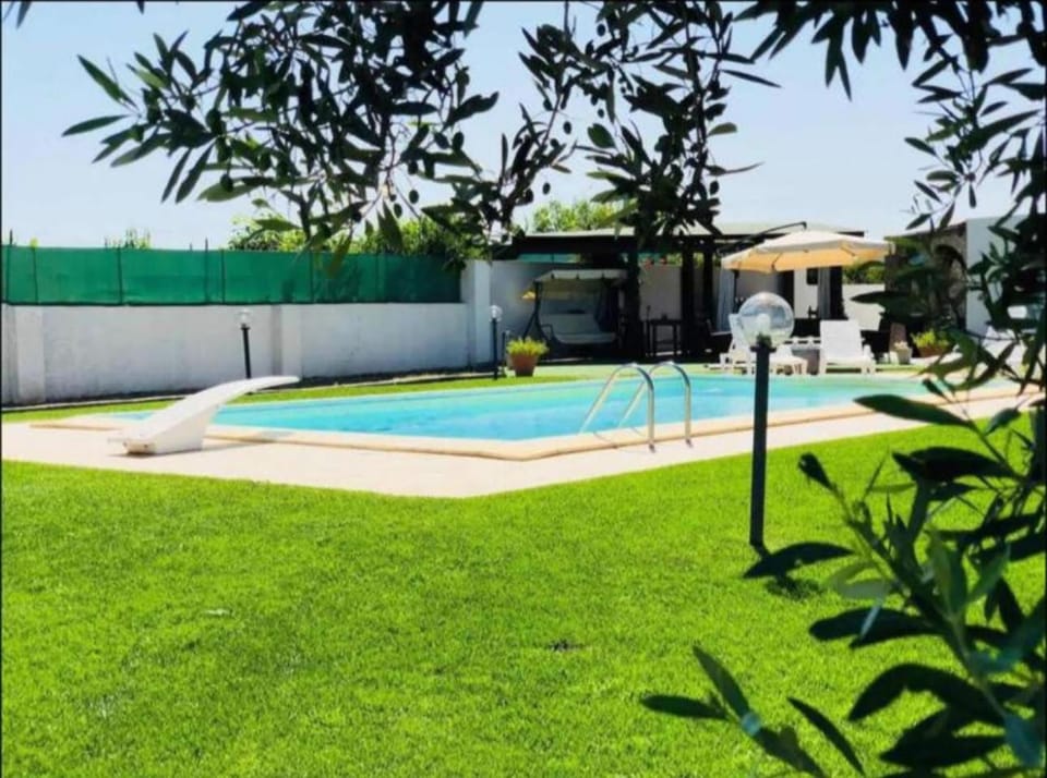 Day, Natural landscape, Garden, Garden view, Pool view, Swimming pool, sunbed