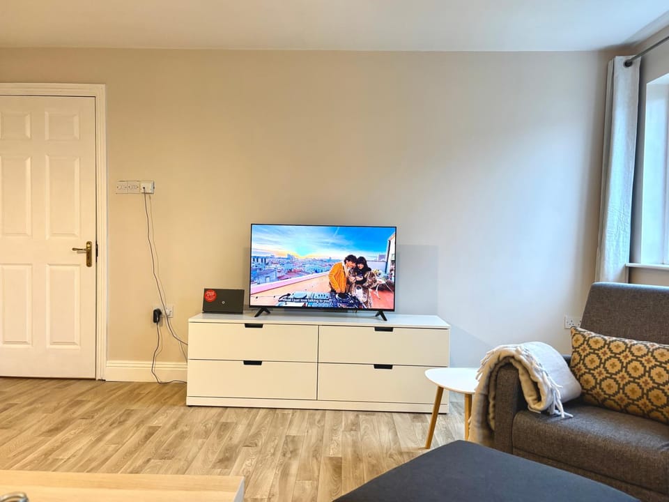 TV and multimedia