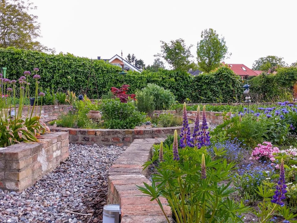 Property building, Spring, Day, Garden, Garden view