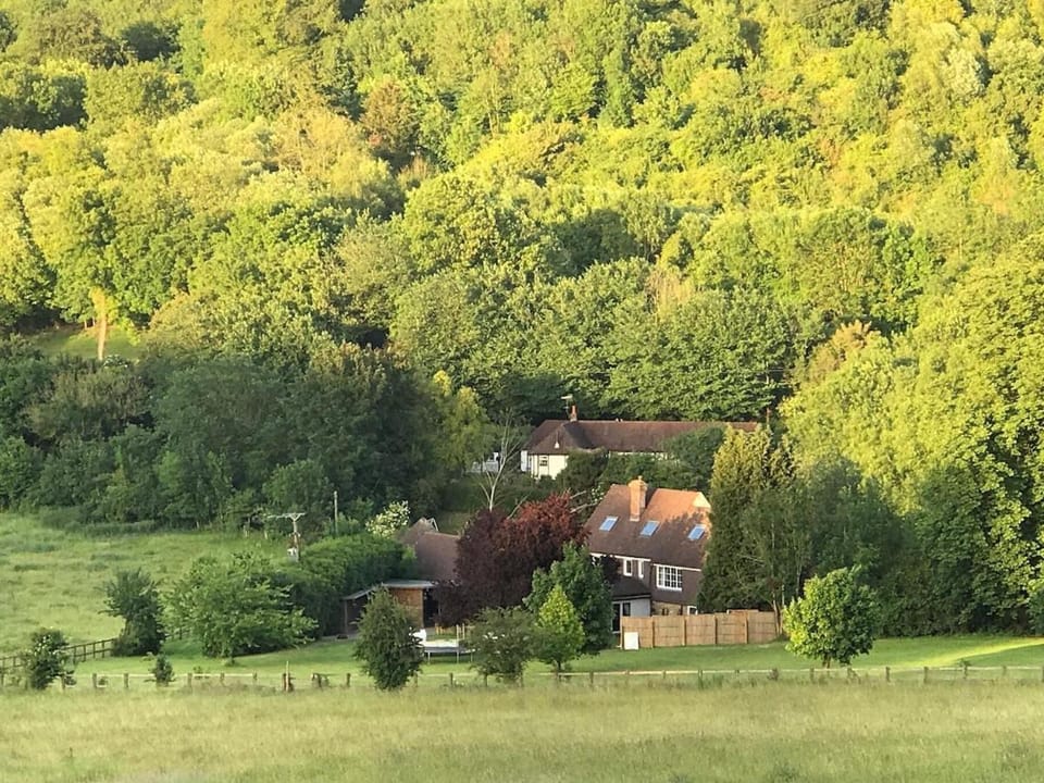 Garden view, Garden view