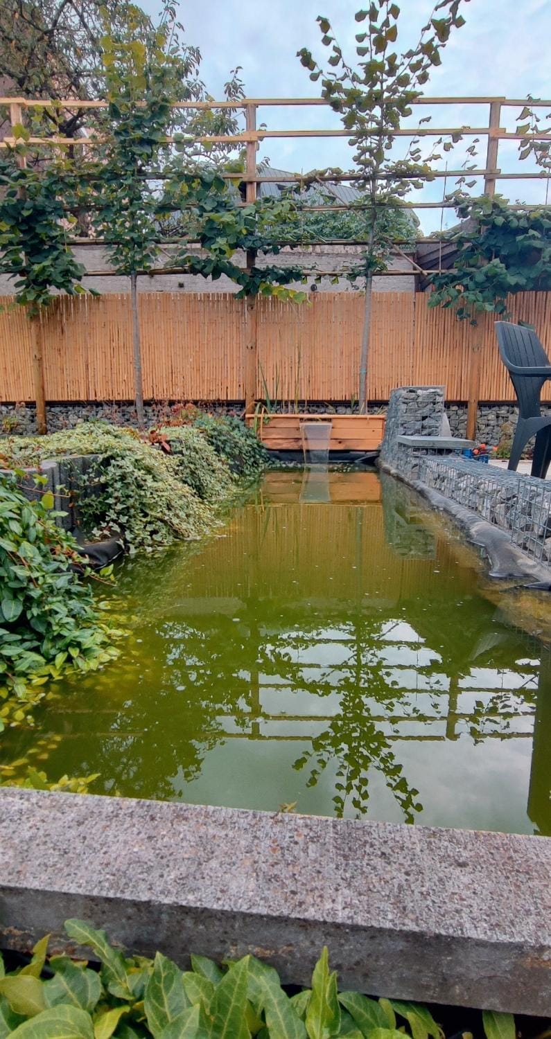 Spring, Day, Garden, Garden view