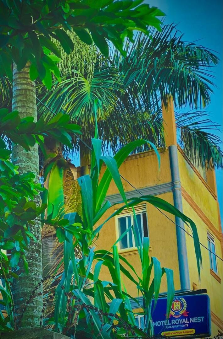 Day, Garden view